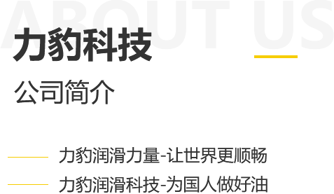 力豹科技公司简介